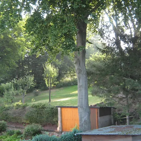 Sauerland Panorama 公寓 *